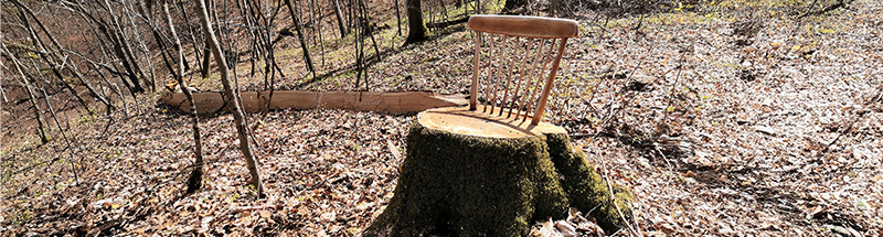 Gedrechselte Stuhllehne auf einem Baumstumpf läd zum Platz nehmen auf der Baumscheibe ein