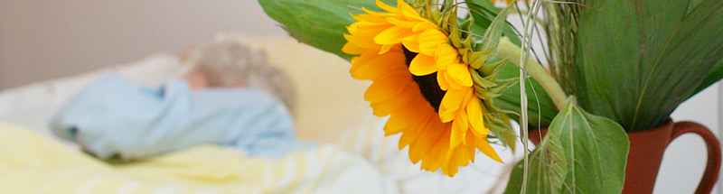 Sonnenblume am Pflegebett einer alten Dame